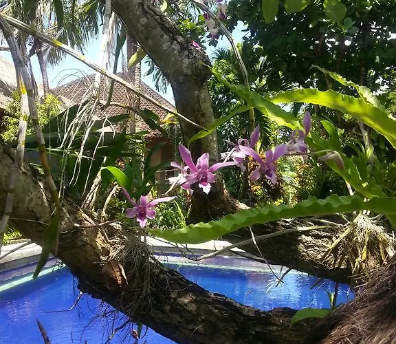 Beach Villas Gasthof